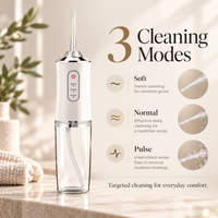 Vanelle Electric Water Flosser